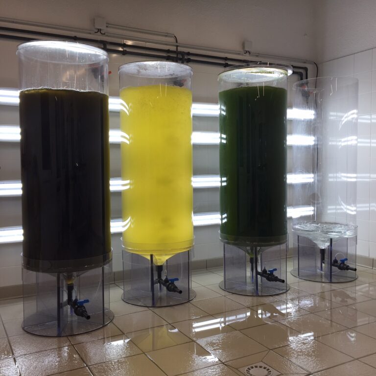 SCOB-AFE 500L CRISTAL