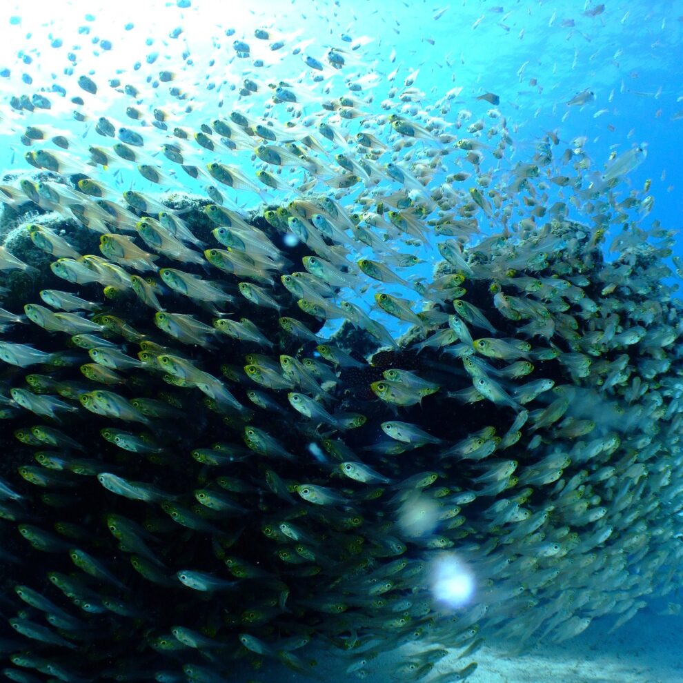 sea-684351_1920